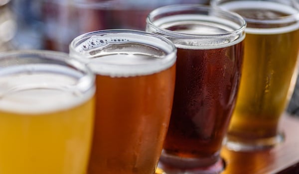ale vs lager vs malt beer