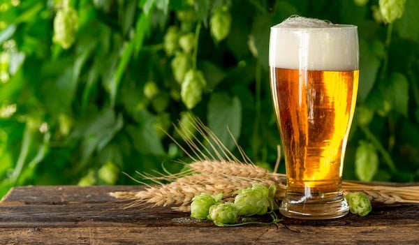 organic beer