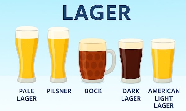 Types of Lager Beers Infographic