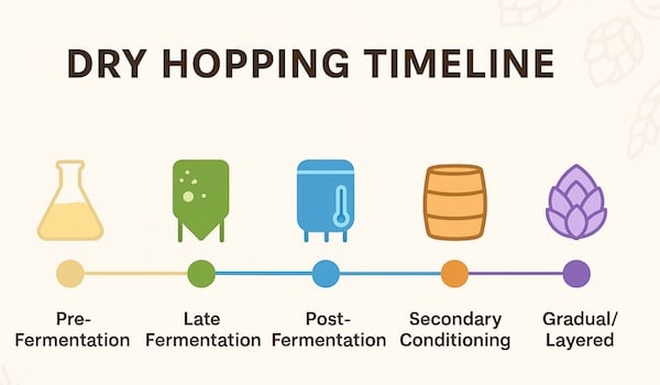 dry hopping timeline