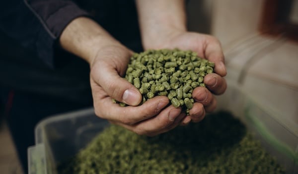 dried hops