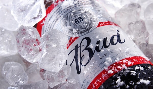 bottle of budweiser american lager on ice
