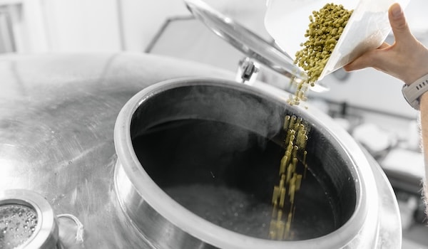 Dry hopping — adding hops to beer after fermentation to maximize aroma