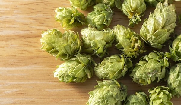 Close-up of fresh green mosaic hop cones arranged on natural wood surface.